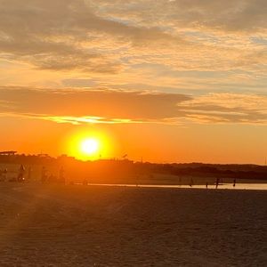 Meet your Posher, Isabelle